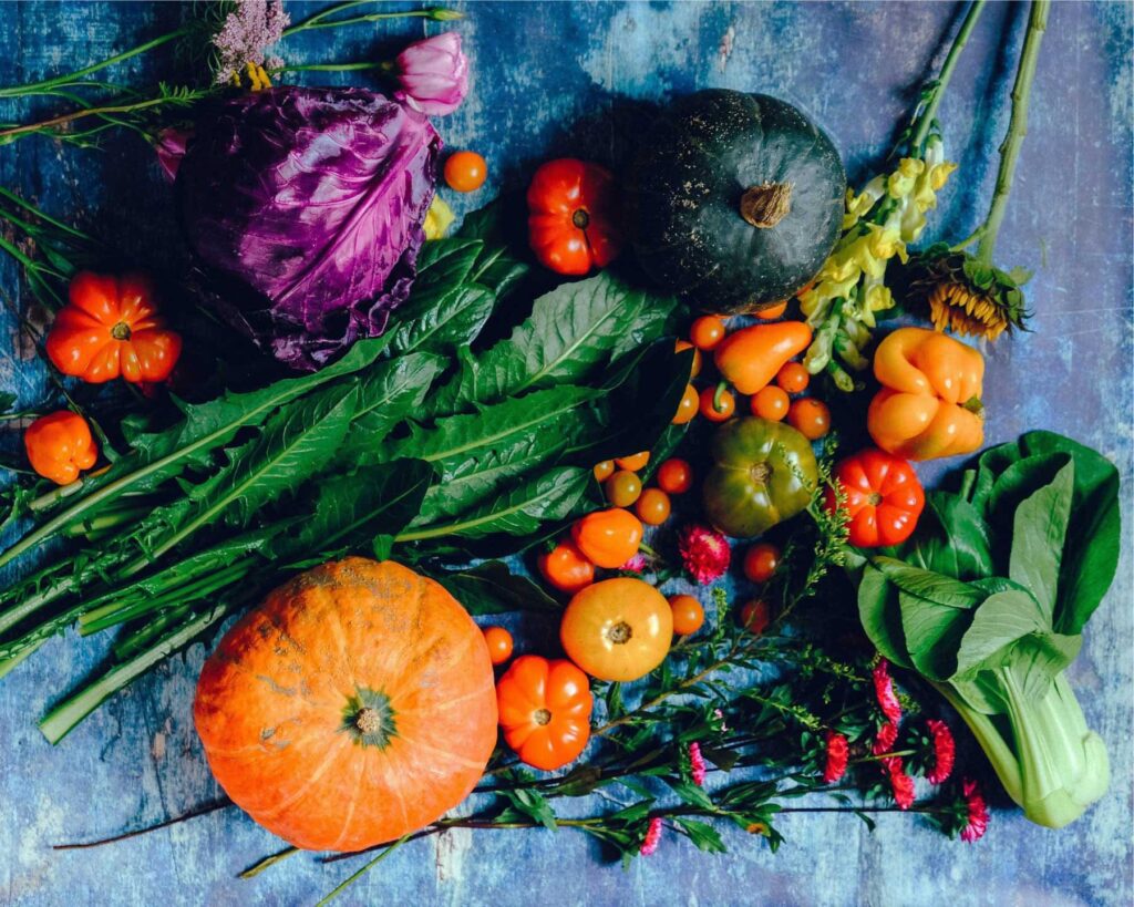 Holistic Healing ChiroMed: Chiropractic and Nutrition