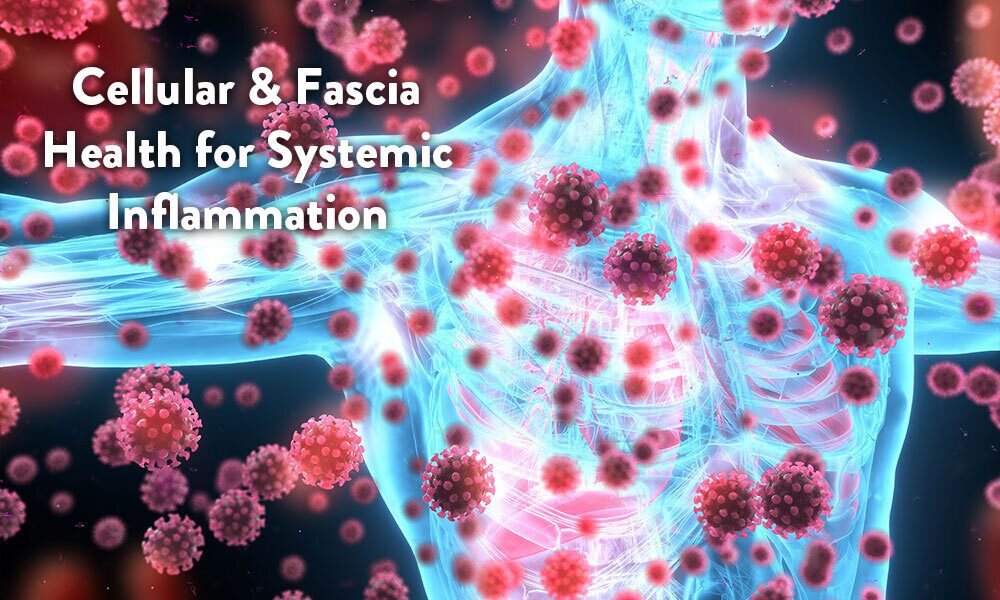 Systemic-inflammation-cell-fascia